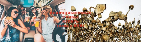 MDMA Premium VHQ Каменногорск
