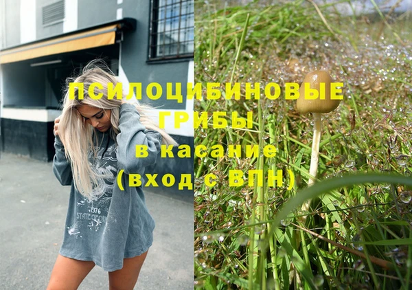 экстази Каменка