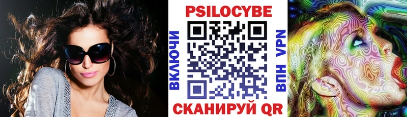 Купить где  Воткинск  Псилоцибиновые грибы Cubensis 